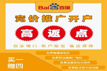 搜索引擎营销（SEM）专员的挑战与机遇